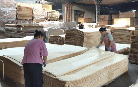 0.25-0.5mm Russisch Birch Veneer Rotary Cut Wood Veneer 1270x2500mm