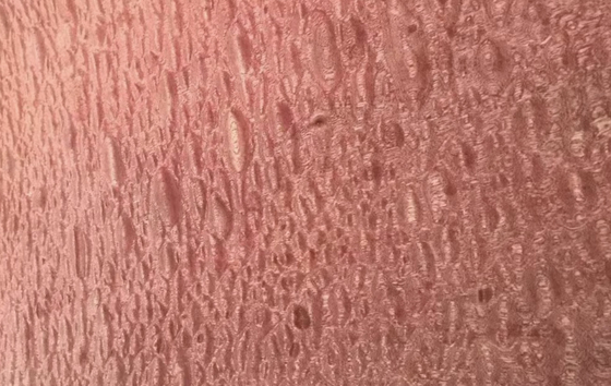 naam